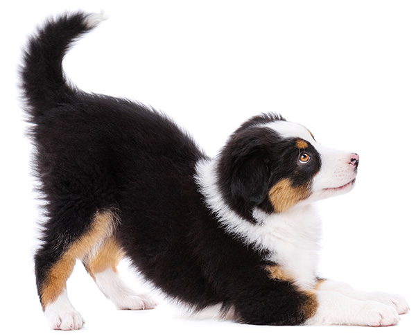 Book An Appointment Cta 2 Book An Appointment Cta 2